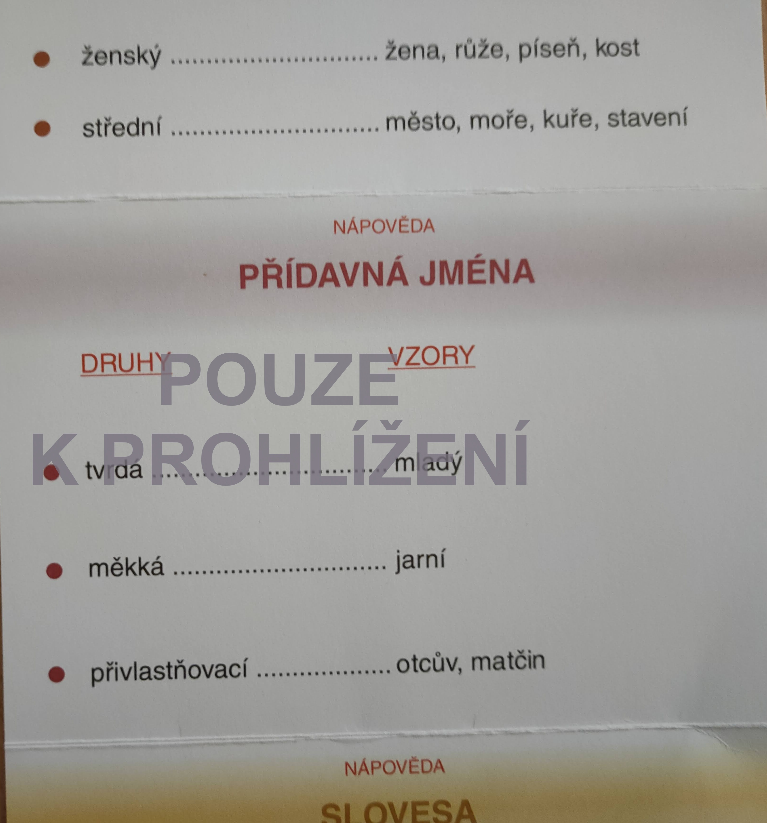 IMG20211021072951